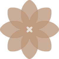 Digital Persona Logo