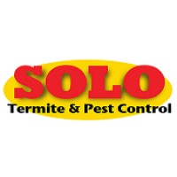 Solo Termite and Construction Logo