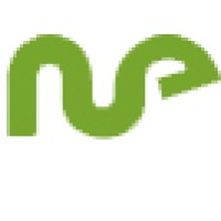 Network Engineering Logo