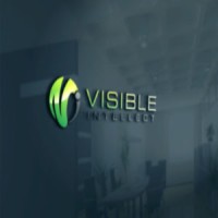 Visible Intellect Logo