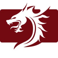 Wyvern Media Solutions Logo