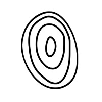 Fall Line Digital Logo