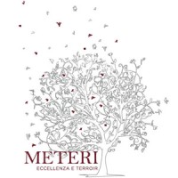 Meteri Srl Logo