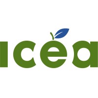 ICÉA - Institut de coopération pour léducation des adultes Logo