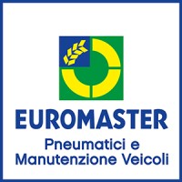 Euromaster Italia Logo