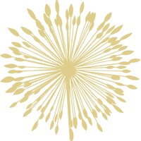 LivingEarthBeauty.com Logo