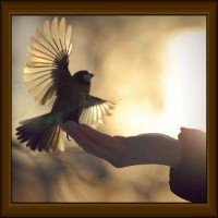 Bird in The Hand Staffing Logo