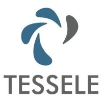 Tessele Consultants Logo