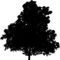 Parlanti & Cooperman LLP Logo