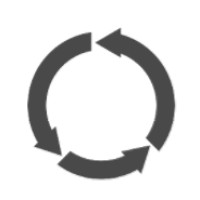 Prince Transformations LLC Logo