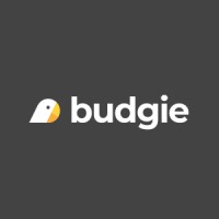 Budgie.ai Logo