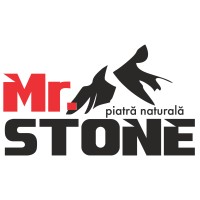 MR. STONE Logo