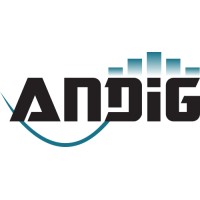 ANDIG Logo