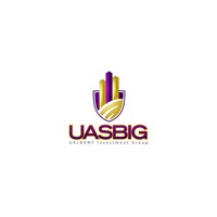 University at Albany School of Business Investment Group Logo