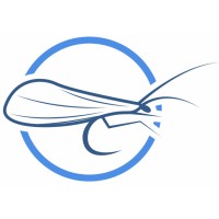 Caddis Digital Solutions Logo