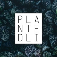 Plantedli Logo
