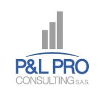 P&L Pro Consulting s.a.s. Logo