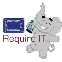 Require IT Ltd Logo