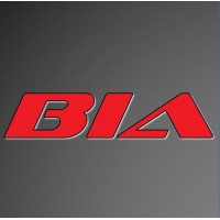 Business Intelligence Analytics Logo