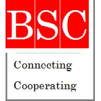 Boston StrategyCan Consulting Logo