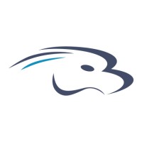 Avid Hawk LLC Logo