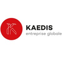 Kaedis - entreprise globale Logo