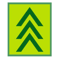 Evergreen Insurance, LLC Logo
