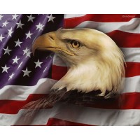 Freedom-Associates, LLC Logo