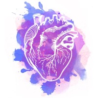 Vena Cava Productions Logo