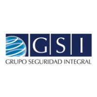 GSI GRUPO DE SEGURIDAD INTEGRAL S.A. DE C.V. Logo