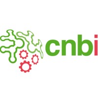 CNBI Logo