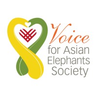 Voice for Asian Elephants Society Logo