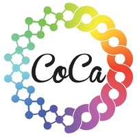 Corpus Callosum USC Logo