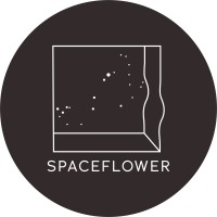 Space Flower Video Logo