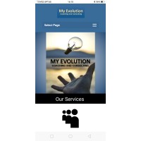 My Evolution Coaching and Consulting Logo