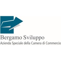 Bergamo Sviluppo - Azienda Speciale della Camera di Commercio di Bergamo Logo