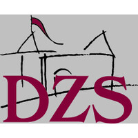 DZS Logo