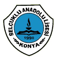 Selçuklu Anadolu Lisesi Logo