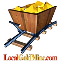 Local GoldMine Logo