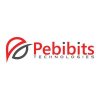 Pebibits Technologies Logo