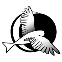 Forty Flying Fish Logo