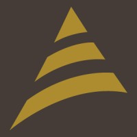 BRACE Integrated Services Logo
