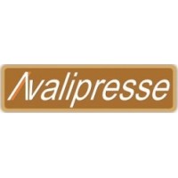 Avalipresse - Avaliações, Perícias e Consultorias Logo