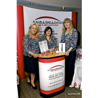 Ambassador Fire & Security LTD Logo