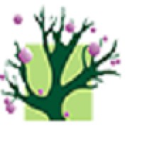 Conscious Solutions Logo