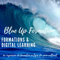 Blue Up Formation Logo