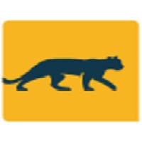Cougar Mountain Financial Logo