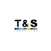 T&S Consulting Logo
