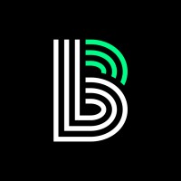 Big Brothers Big Sisters Hawai‘i Logo