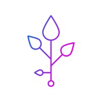 Nodra Lab Logo